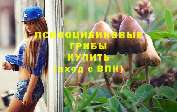 героин Алексин